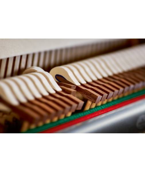 Piano C.Bechstein Lyon